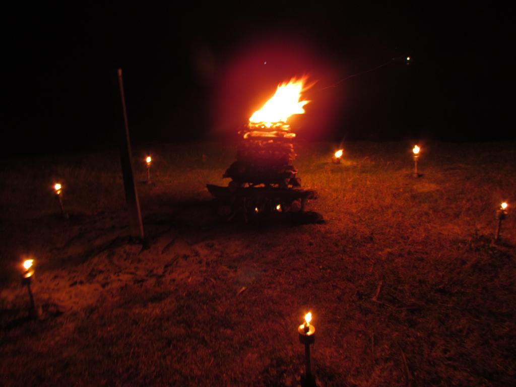 מלון בטיקלואה Lord Of The Forest מראה חיצוני תמונה